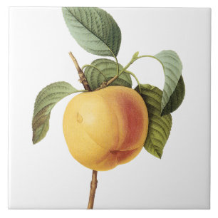 Pierre-Joseph Redouté Vintage Large Peach Painting Ceramic Tile