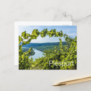 Piesport Moselle Grapes Vintage Vines Souvenir Holiday Postcard