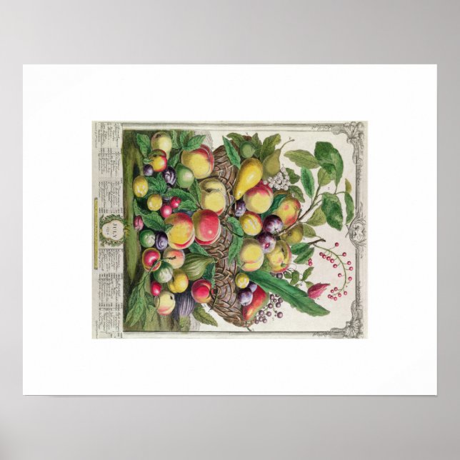 Pieter Casteels, Twelve Months of Fruits, July Poster (Front)