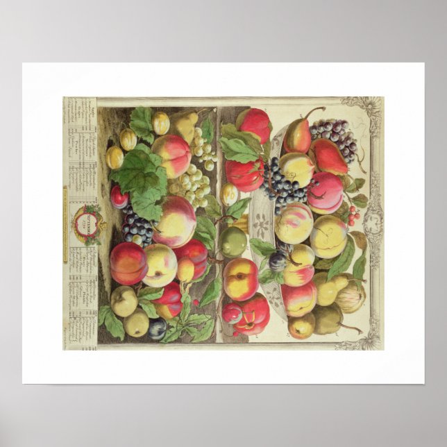 Pieter Casteels, Twelve Months of Fruits September Poster (Front)
