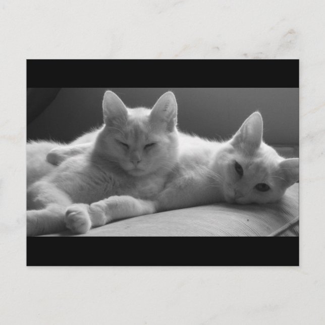 Piff and Puff Postcard (Front)