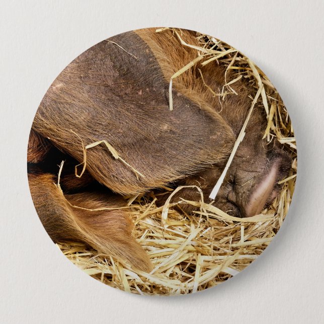 PIG 10 CM ROUND BADGE (Front)