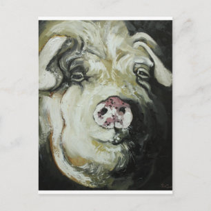 Pig#7 Postcard