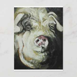 Pig#7 Postcard