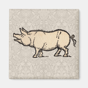 Pig Antique Piggy Cute Vintage Illustration Magnet