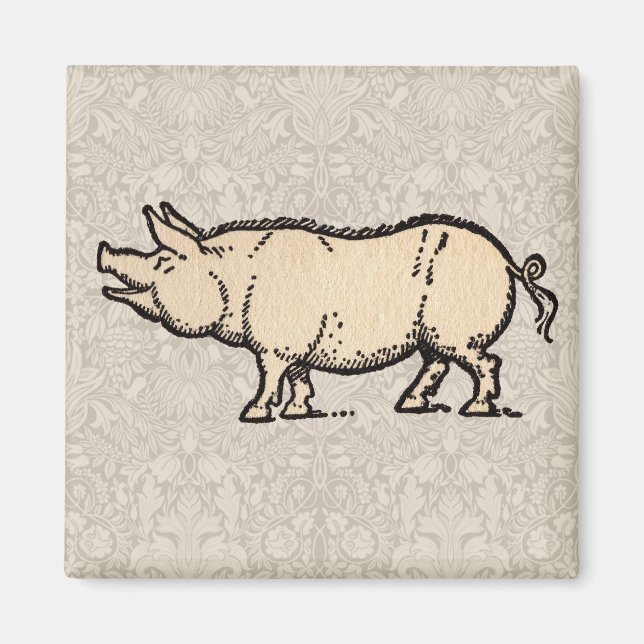 Pig Antique Piggy Cute Vintage Illustration Magnet (Front)
