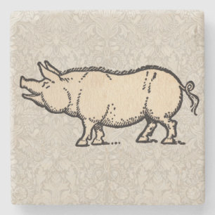 Pig Antique Piggy Cute Vintage Illustration Stone Coaster