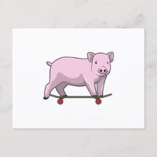 Pig as Skater with Skateboard Postcard