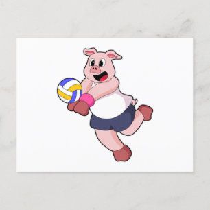 Pig at Volleyball Sports Postcard