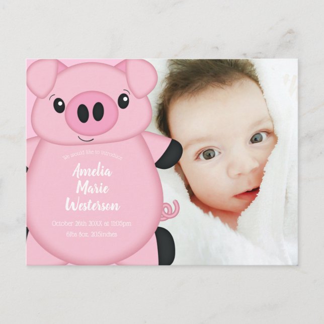 Pig Baby Shower Farm Pink Girl  Postcard (Front)