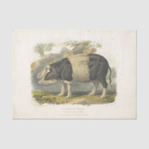 Pig Black White Ephemera Decoupage Vintage Farm Tissue Paper