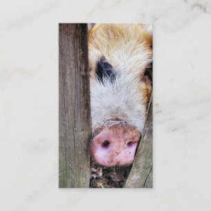PIG BUSINESS CARD