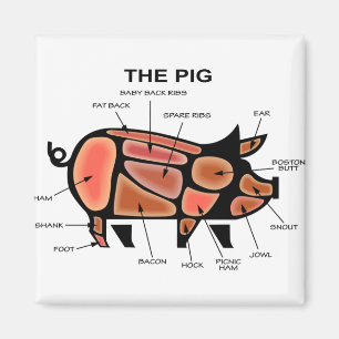 Pig Butcher Chart Magnet