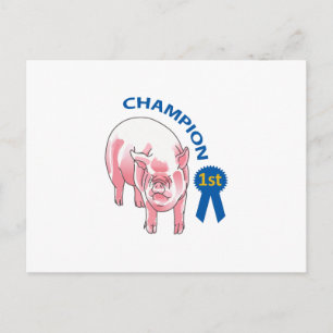 PIG CHAMPION POSTCARD