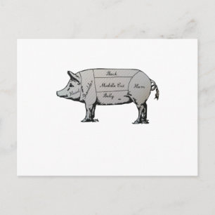 Pig Diagram Postcard