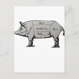 Pig Diagram Postcard