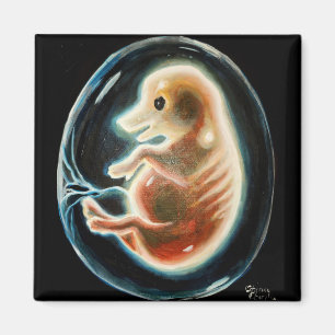 Pig embryo magnet