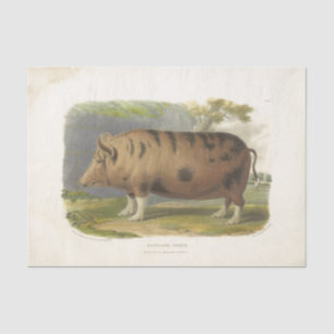 Pig Ephemera Decoupage Vintage Farm Tissue Paper