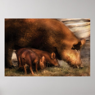 Pig - Family Bonds Poster