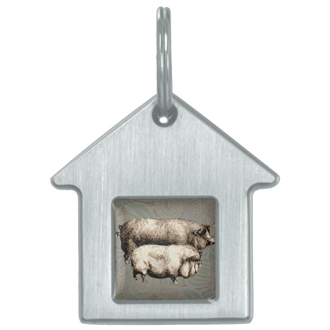 Pig Farm Country Antique Illustration Art Pet Tag (Front)