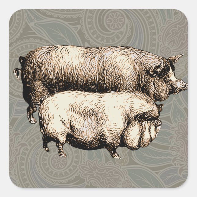 Pig Farm Country Antique Illustration Art Square Sticker (Front)