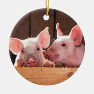 Pig Farm Piglets Ceramic Ornament