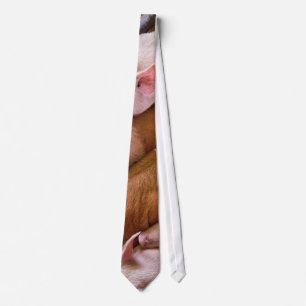 Pig - Five little piggies and a Chicken Tie