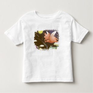 Pig flying in the sky toddler T-Shirt