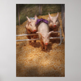 Pig - Getting past hurdles Poster