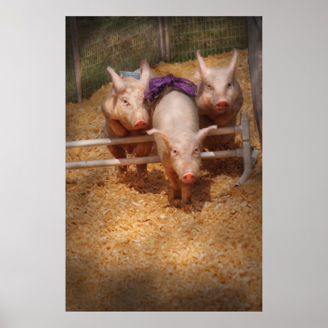 Pig -  Getting past hurdles Poster (Front)