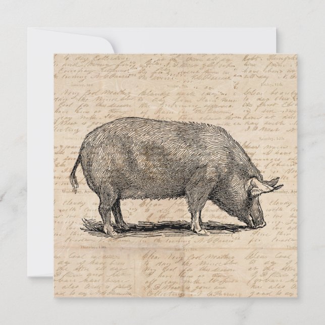 Pig Illustration Antique Art Script Paper Style Invitation (Front)