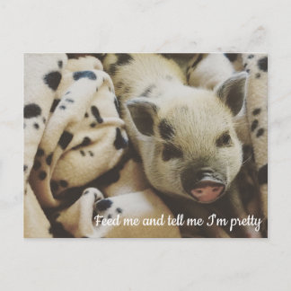 Pig in a Blanket Postcard