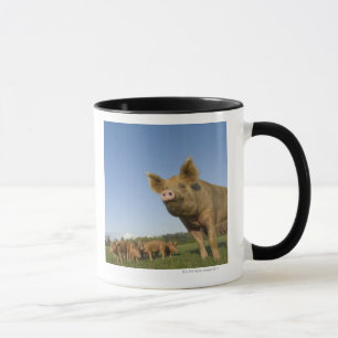Pig in a Field Mug