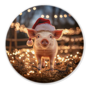 Pig in a Santa Hat Ceramic Knob
