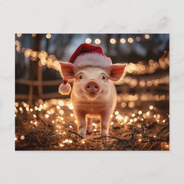 Pig in a Santa Hat Postcard (Front)