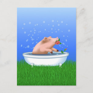 Pig in Bath Postcard