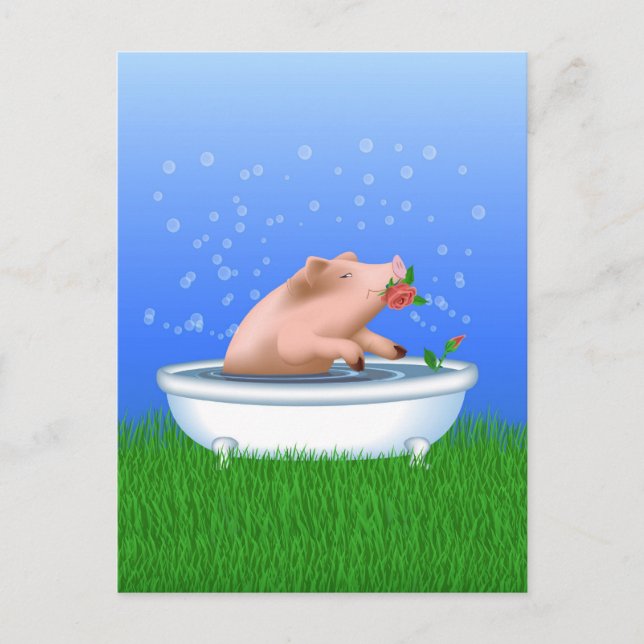 Pig in Bath Postcard (Front)