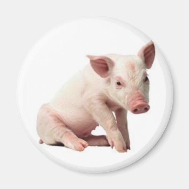 pig magnet (Front)