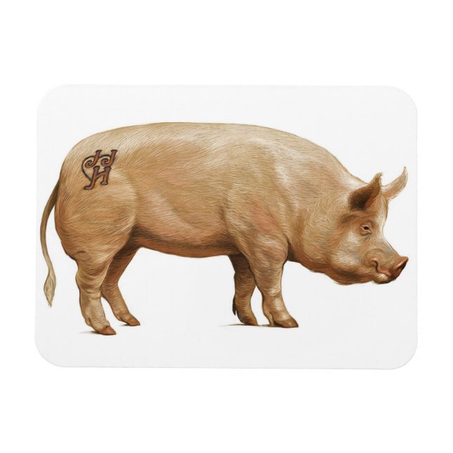 Pig magnet (Horizontal)