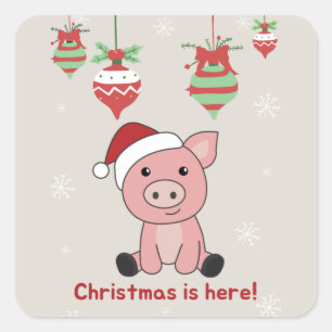 Pig Merry Christmas Animals Pigs Square Sticker