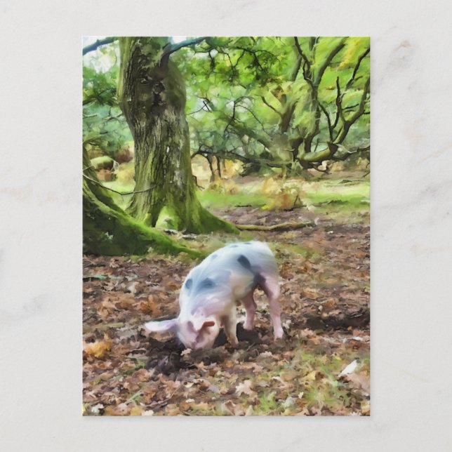 Pig Oil Painting-Style Postcard (Front)