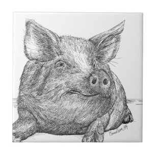 Pig Piglet Ceramic Tile