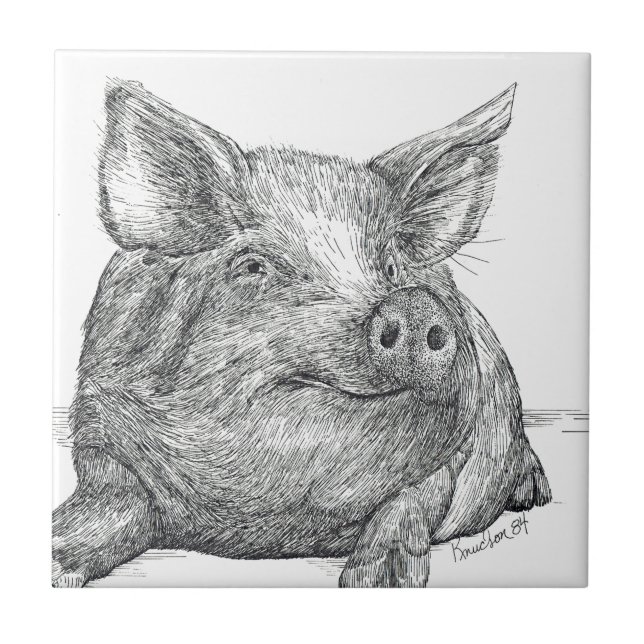 Pig Piglet Ceramic Tile (Front)