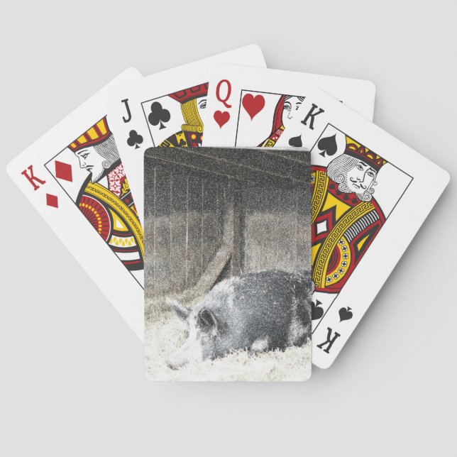Pig playing cards (Back)