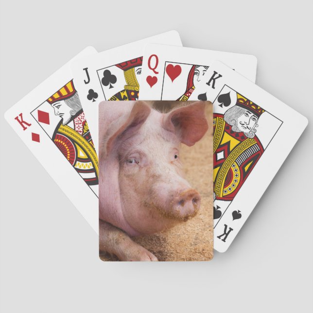 Pig Playing Cards (Back)