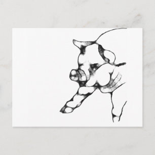 pig postcard