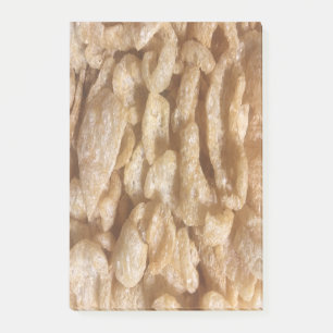 Pig Skins Post-it Notes