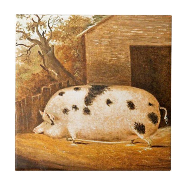 Pig Spotted Hog Vintage Farm Art Painting Tile (Front)
