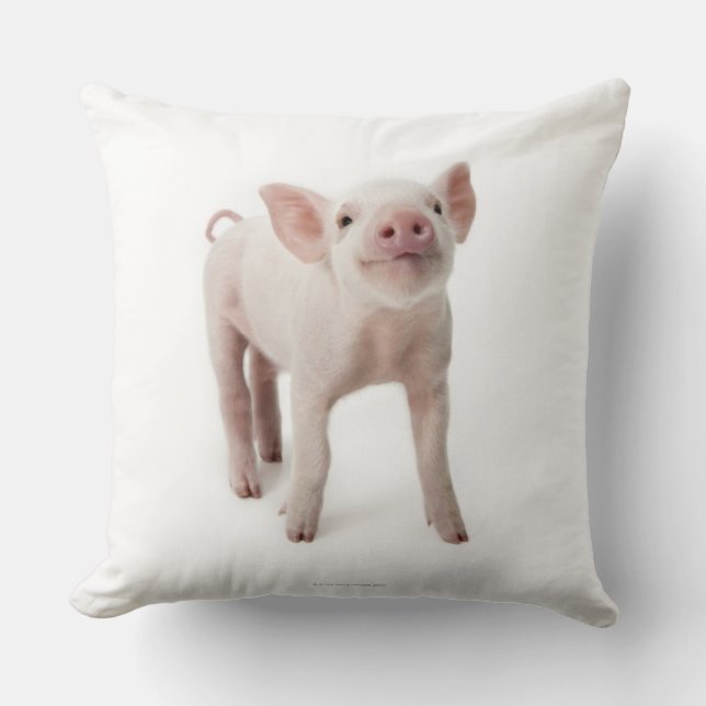 Pig Standing Looking Up Cushion (Front)
