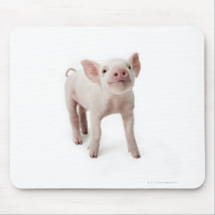 Pig Standing Looking Up Mouse Pad